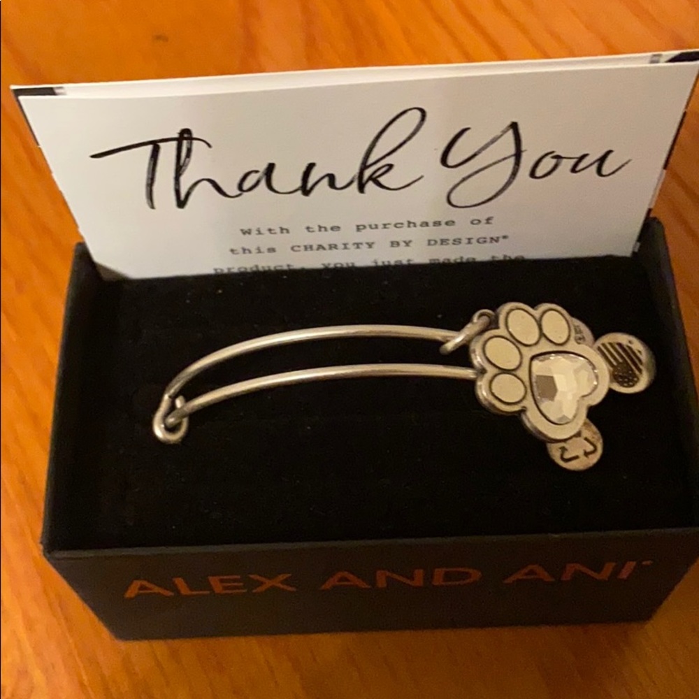 Alex and Ani silver bangle